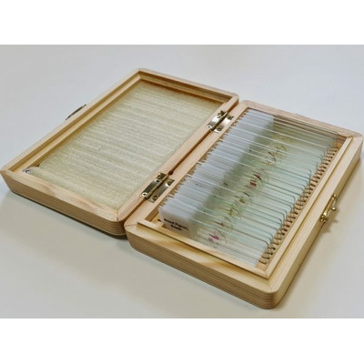 Set 30 preparate pentru microscop Zoologie