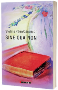 Sine qua non