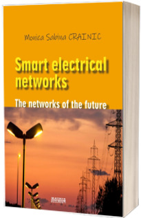Smart electrical networks