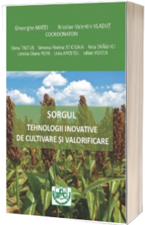 Sorgul