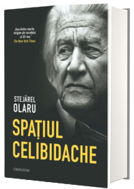 Spatiul Celibidache