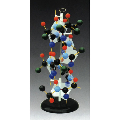 Structura proteinelor