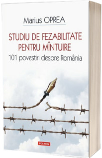 Studiu de fezabilitate pentru mintuire. 101 povestiri despre Romania