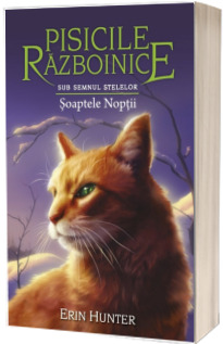 Sub semnul stelelor. Soaptele Noptii