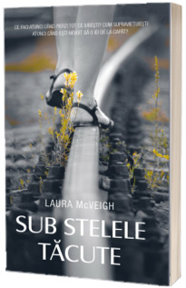 Sub stelele tacute