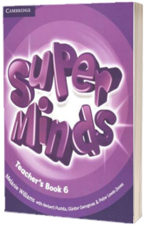 Super Minds Level 6 Teachers Book