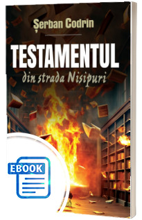 Testamentul din strada Nisipuri
