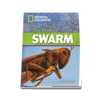 The Perfect Swarm. Footprint Reading Library 3000. Book