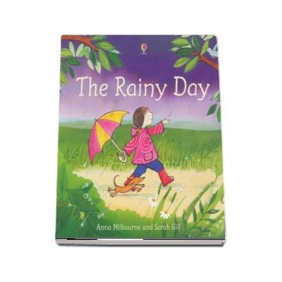 The rainy day