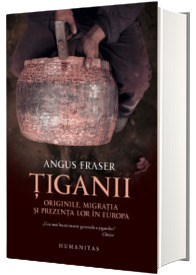 Tiganii - Originile
