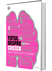 Totul despre creier