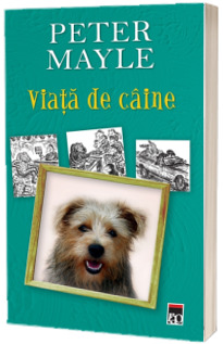 Viata de caine