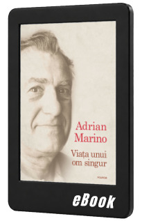 Viata unui om singur