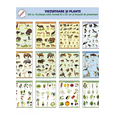 Vietuitoare si plante - set cu 18 planse color si brosura de prezentare