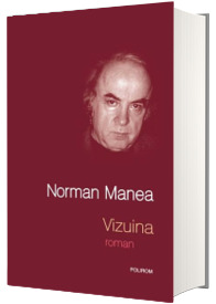 Vizuina