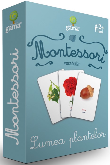 Vocabular - Lumea plantelor