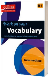 Vocabulary : B1