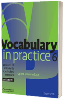 Vocabulary in Practice 6