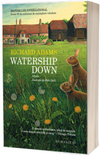 Watership Down Watership Down
