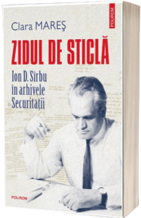Zidul de sticla